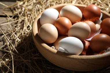 Çiğ tavuk yumurtası, tüy ve saman, yakın plan.