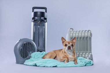 Cute little dog on blanket near electric heaters against grey background