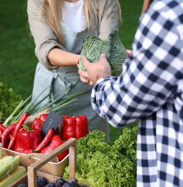 Çiftçi pazarından taze sebze seçen adam, yakın plan.