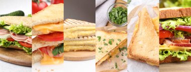 Tasty sandwiches with different fillings, collage. Banner design