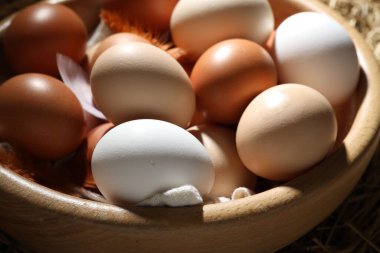 Çiğ tavuk yumurtası ve tüyler masada, yakın plan.