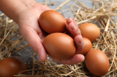 Gri masada çiğ tavuk yumurtası tutan kadın kahverengi ve samanla yakın plan.
