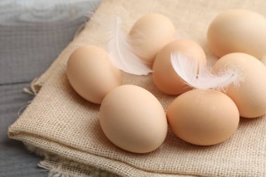 Çiğ tavuk yumurtası, tüy ve kumaş gri ahşap masada, yakın plan.