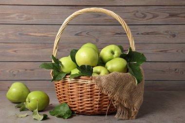 Taze yapraklı olgun yeşil elmalar gri masada sepetin içinde.