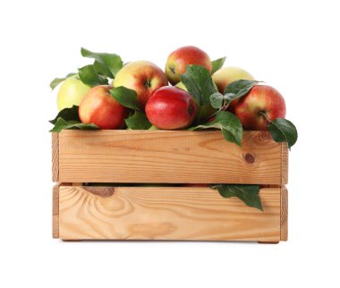 Tahta sandıkta yeşil yapraklı taze elmalar beyaz üzerinde izole edilmiş.