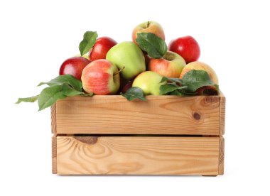 Tahta sandıkta yeşil yapraklı taze elmalar beyaz üzerinde izole edilmiş.