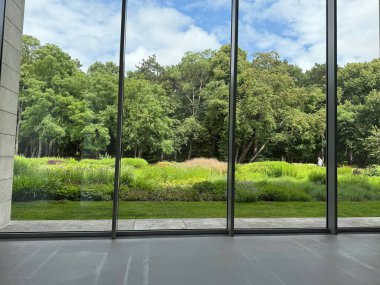 Güzel yeşil ağaçlar ve mavi gökyüzünün altındaki diğer farklı bitkiler, panoramik pencerelerden bakıyorlar.