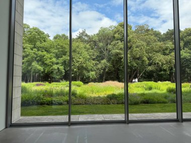 Güzel yeşil ağaçlar ve mavi gökyüzünün altındaki diğer farklı bitkiler, panoramik pencerelerden bakıyorlar.