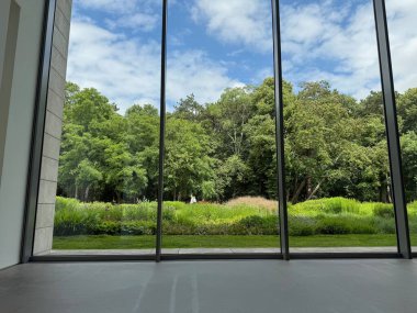 Güzel yeşil ağaçlar ve mavi gökyüzünün altındaki diğer farklı bitkiler, panoramik pencerelerden bakıyorlar.