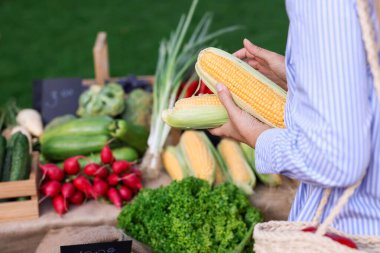 Çiftçi pazarından taze sebze seçen kadın, yakın plan.