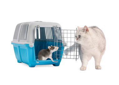 Evcil hayvan taşıyıcısında fare ve beyaz arka planda kedi