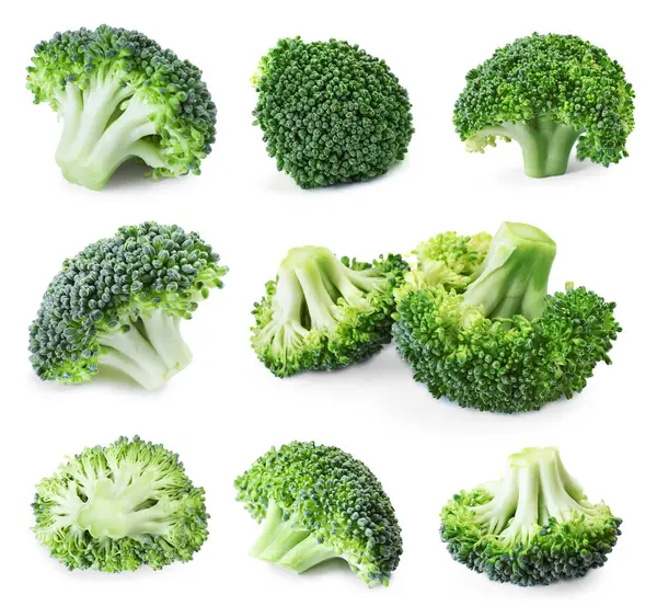 Taze brokoli çiçekleri beyaz sette izole edilmiş.