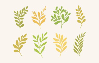 Çiçeksel süs dalları, vektör çizimleri.