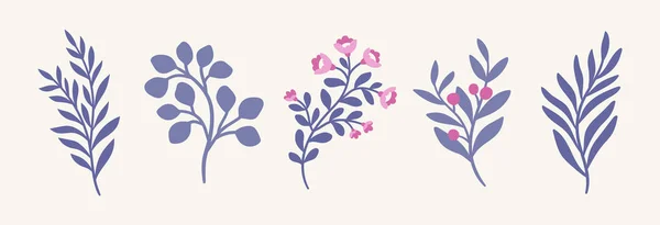 Set Bloemen Siertakken Vector Illustraties — Stockvector