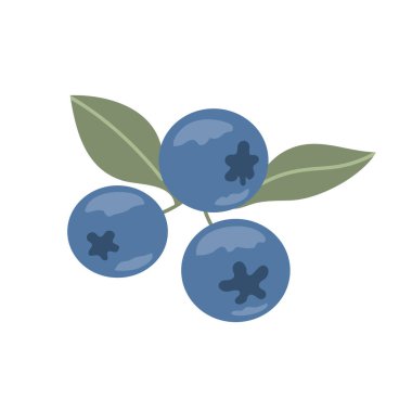 Orman böğürtlen. Tatlı kırmızı dut. Yemek için gerekli malzemeler. Vitaminli yaz tatlısı. Diyet sağlıklı yemek. Düz vektör çizimi beyaz arkaplanda izole edildi