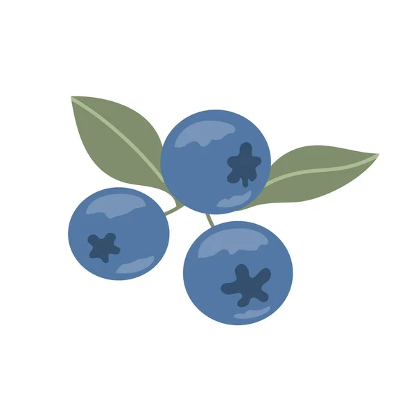 Μπλε Μούρα Του Δάσους Γλυκό Κόκκινο Μούρο Συστατικό Για Ένα — Διανυσματικό Αρχείο