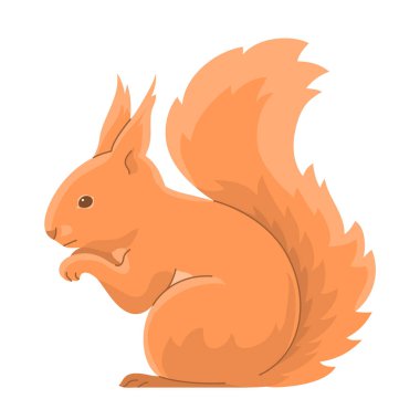 Oturan bir kırmızı sincap. Ormandaki küçük kemirgen. Vahşi yaşam hayvanı. Hayvanat bahçesi ve zooloji. Çizgi film vektör çizimi beyaz arkaplanda izole edildi