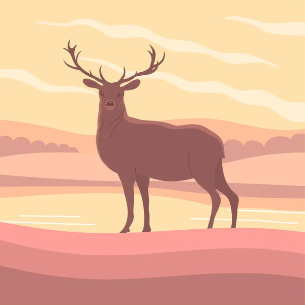 Beautiful Red Deer Antlers Forest Herbivore Animal Faina Wildlife Peaceful — Stock Vector