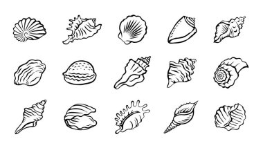 Deniz kabukları hazır. Salyangoz deniz kabuğu. Deniz altı deniz kabuğu bükülmüş. Spiral şekilli. Deniz altı yumuşakçaları. Hayvanlar ve vahşi yaşam. Çizgi film siyah ve beyaz çizimi. El çizimi biçimi