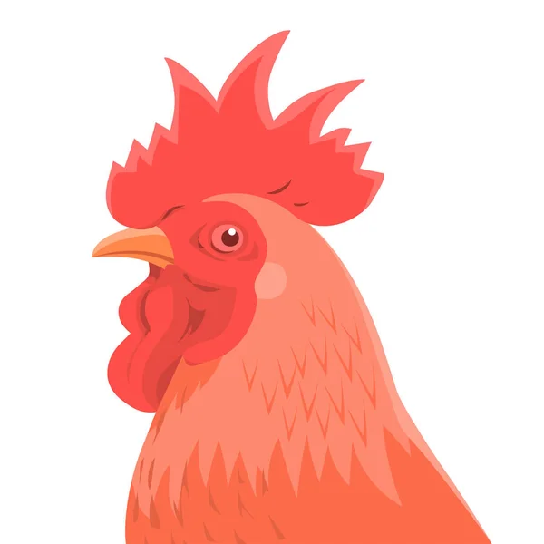 雄鶏の頭部の肖像画 国内のオスの鳥 ラベルの紋章 デザイン 白い背景に孤立した漫画のベクトルイラスト — ストックベクタ
