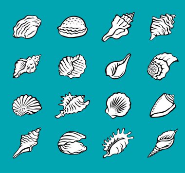 Deniz kabukları hazır. Salyangoz deniz kabuğu. Deniz altı deniz kabuğu bükülmüş. Spiral şekilli. Deniz altı yumuşakçaları. Hayvanlar ve vahşi yaşam. Çizgi film siyah ve beyaz çizimi. Mavi arka plan. El çizimi biçimi