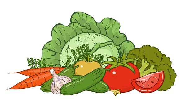 新鮮な野菜のセット トマト キュウリ ニンジン グリーンキャベツ ブロッコリー 健康的なベジタリアン料理 調理のための天然植物成分 新鮮な収穫だ ベクトルアートイラスト — ストックベクタ