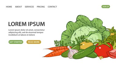 Taze sebzeler. Domates, salatalık, havuç, yeşil lahana, brokoli. Sağlıklı vejetaryen yemekleri. Taze hasat. Tasarım posteri, afiş sitesi. Vektör sanat illüstrasyonu. El çizimi ana hatları