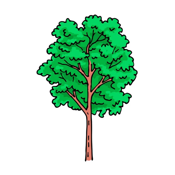 緑の葉を持つ木 デザインと装飾のためのテンプレート要素 自然と森 白い背景に描かれた漫画のベクトルイラスト 手描きアウトラインスケッチ — ストックベクタ