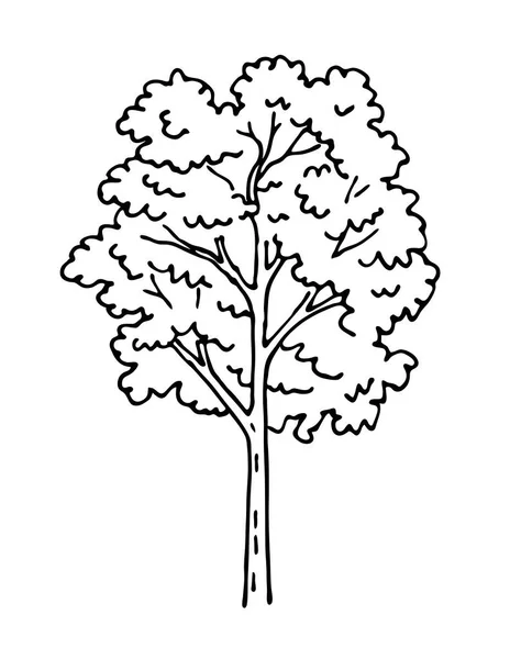 有叶子的树 用于设计和装饰的模板元件 自然与森林 卡通矢量黑白插图 手绘草图 — 图库矢量图片