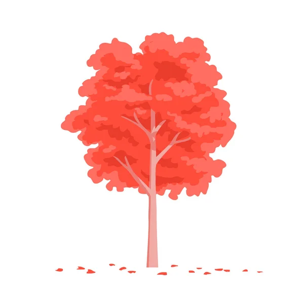 カエデの赤の木 自然と森 秋のシーズン デザインと装飾のためのテンプレート要素 白い背景に孤立した漫画のベクトルイラスト — ストックベクタ