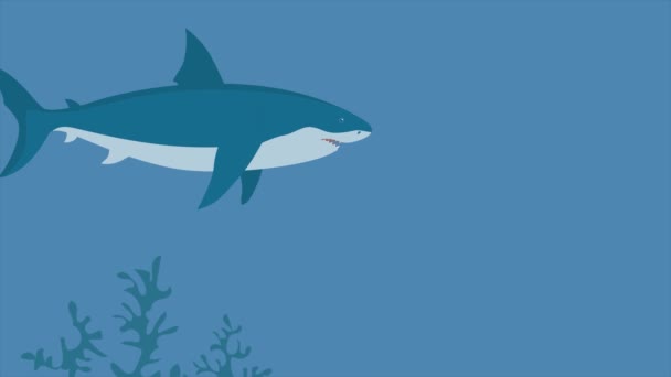 Prehistoric Underwater Shark Megalodon Fins Predatory Sea Fish Scary Jaws — Stockvideo