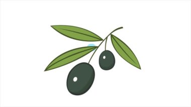 Branch of olive with green leaves. Delicious fruit for seasoning and dishes. Natural vegetable oil. Healthy food. Italy plant. Illustration isolated on white background. Cartoon animation video motion