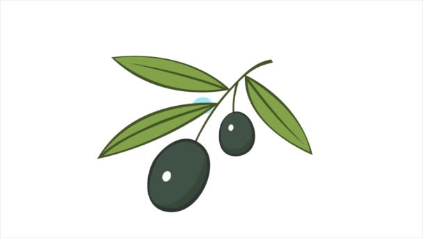 Olivová Ratolest Zelenými Listy Lahodné Ovoce Dochucení Pokrmy Přírodní Rostlinný — Stock video