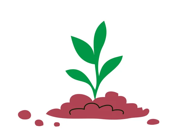 Groene Spruit Van Een Plant Jonge Zaailing Grond Ecologisch Symbool — Stockvector