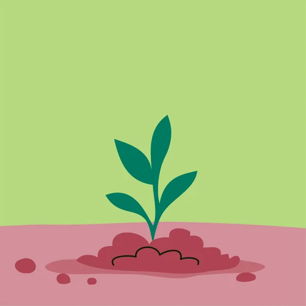Broto Verde Uma Planta Mudas Jovens Chão Símbolo Ecológico Primavera —  Vetores de Stock