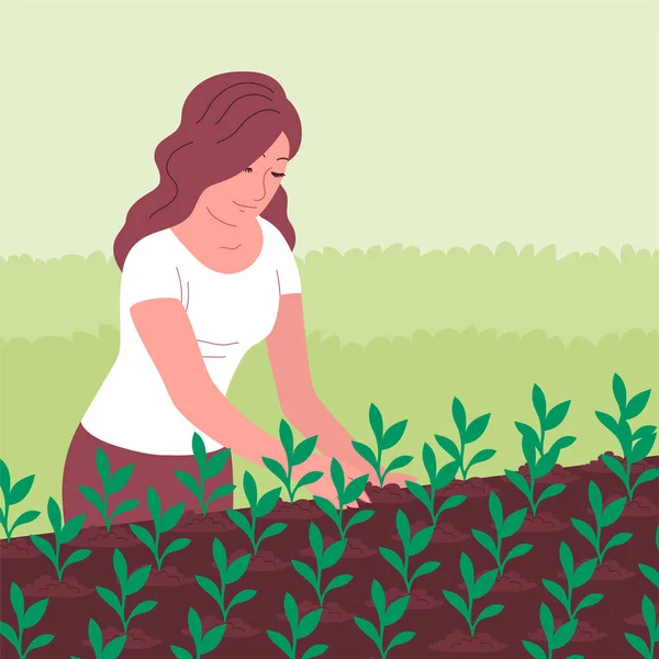 Jovem Plantou Uma Jovem Planta Cultivada Sementes Chão Jardinagem Livre —  Vetores de Stock