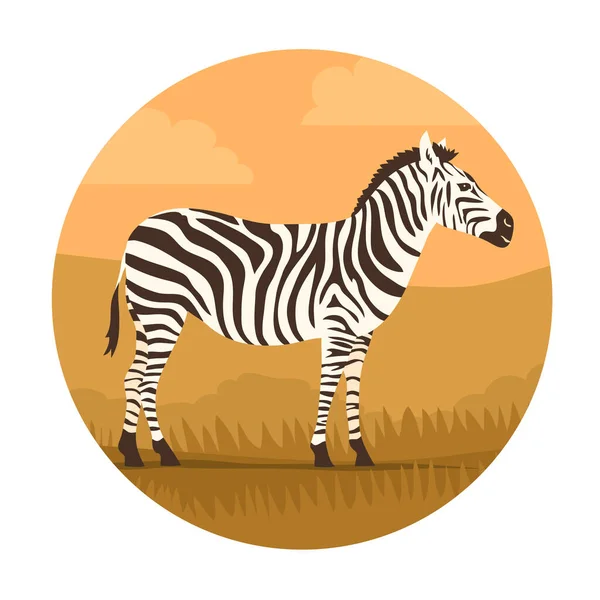 Striped Zebra Background Wild Savannah Herbivorous Hoofed Mammal African Wild — Διανυσματικό Αρχείο