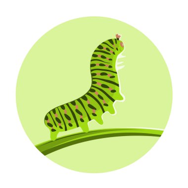 Yaprağın üzerinde sürünen yeşil bir tırtıl tasviri