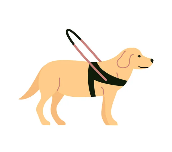 Pies Przewodnik Przyjaciel Asystent Dla Niewidomych Wyszkolony Labrador Płaska Ilustracja — Wektor stockowy