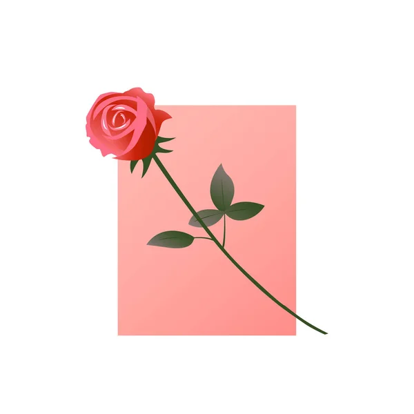 Rosa Roja Sobre Fondo Rosa Amor Romance Regalo Para Mujer — Archivo Imágenes Vectoriales