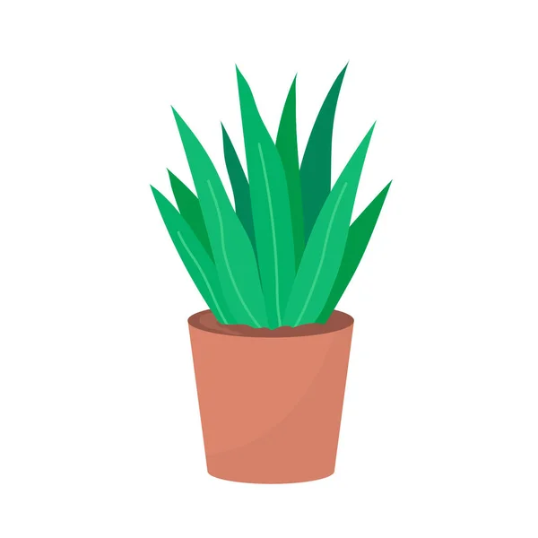 Fleur Maison Décorative Pot Avec Plante Feuilles Vertes Objet Intérieur — Image vectorielle