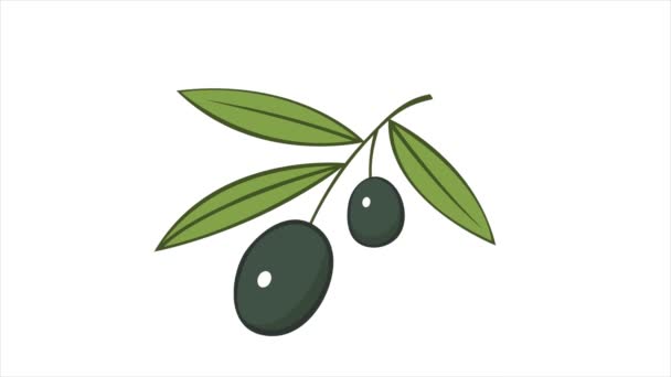 Olivová Ratolest Zelenými Listy Lahodné Ovoce Dochucení Pokrmy Přírodní Rostlinný — Stock video