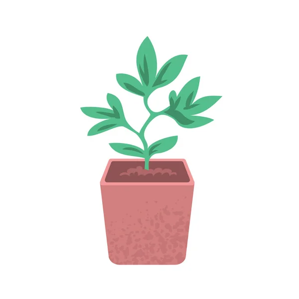 Zelený Výhonek Rostliny Mladý Sazenice Zemi Zahradní Postel Zahradní Zahrada — Stockový vektor