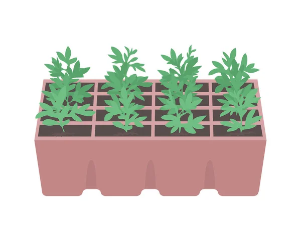 Groene Spruiten Van Een Plant Een Witte Achtergrond — Stockvector