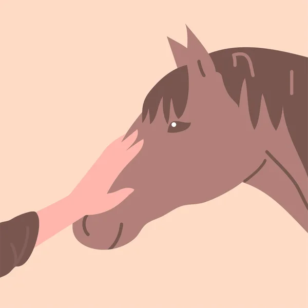 Άνθρωπος Και Άλογο Ένα Όμορφο Κομψό Ζώο Χαίτη Και Οπλές — Διανυσματικό Αρχείο