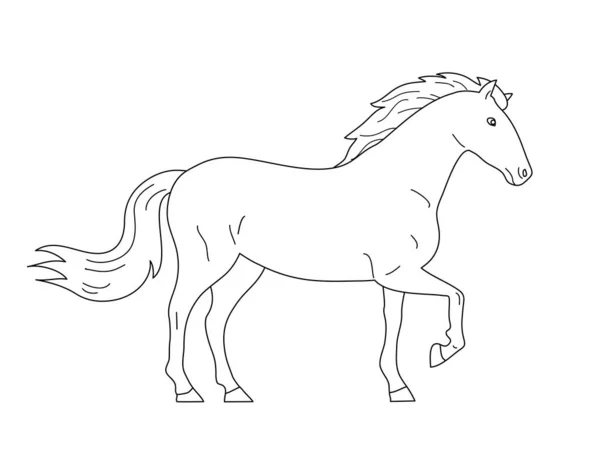 Mustang Cavalo Belo Animal Elegante Com Crina Cascos Desporto Hipódromo —  Vetores de Stock