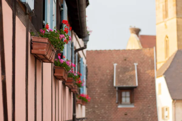 Франція Прекрасне Французьке Село Ельзасі Дерев Яні Фасади Вікнами Традиційна — стокове фото