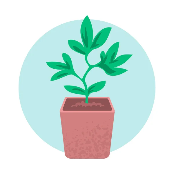 Πράσινο Βλαστάρι Από Ένα Φυτό Λευκό Φόντο — Διανυσματικό Αρχείο