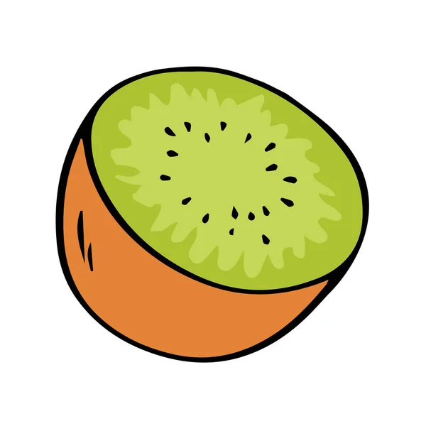 新鮮な緑のキウイ 熱帯の甘い果実 健康的な食べ物や食事 白を基調としたベクトルイラスト 手描きアウトライン — ストックベクタ