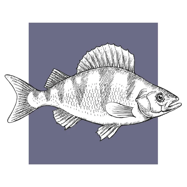 Морская Рыба Готовить Вкусную Еду Векторная Иллюстрация Нарисована Вручную Эскиз — стоковый вектор